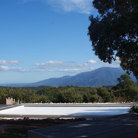 Mas La Marchette Bed & Breakfast Ceret Bagian luar foto