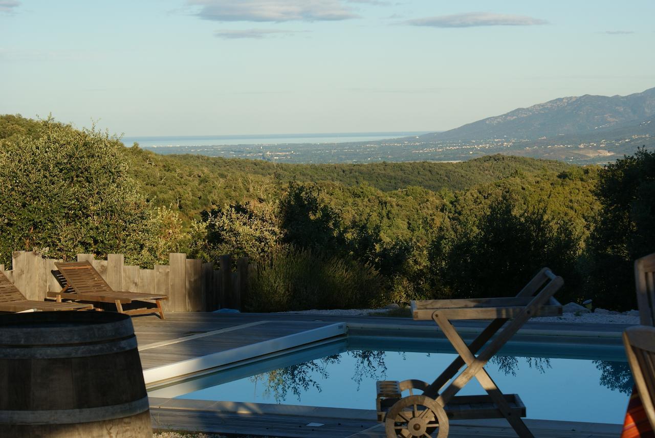 Mas La Marchette Bed & Breakfast Ceret Bagian luar foto