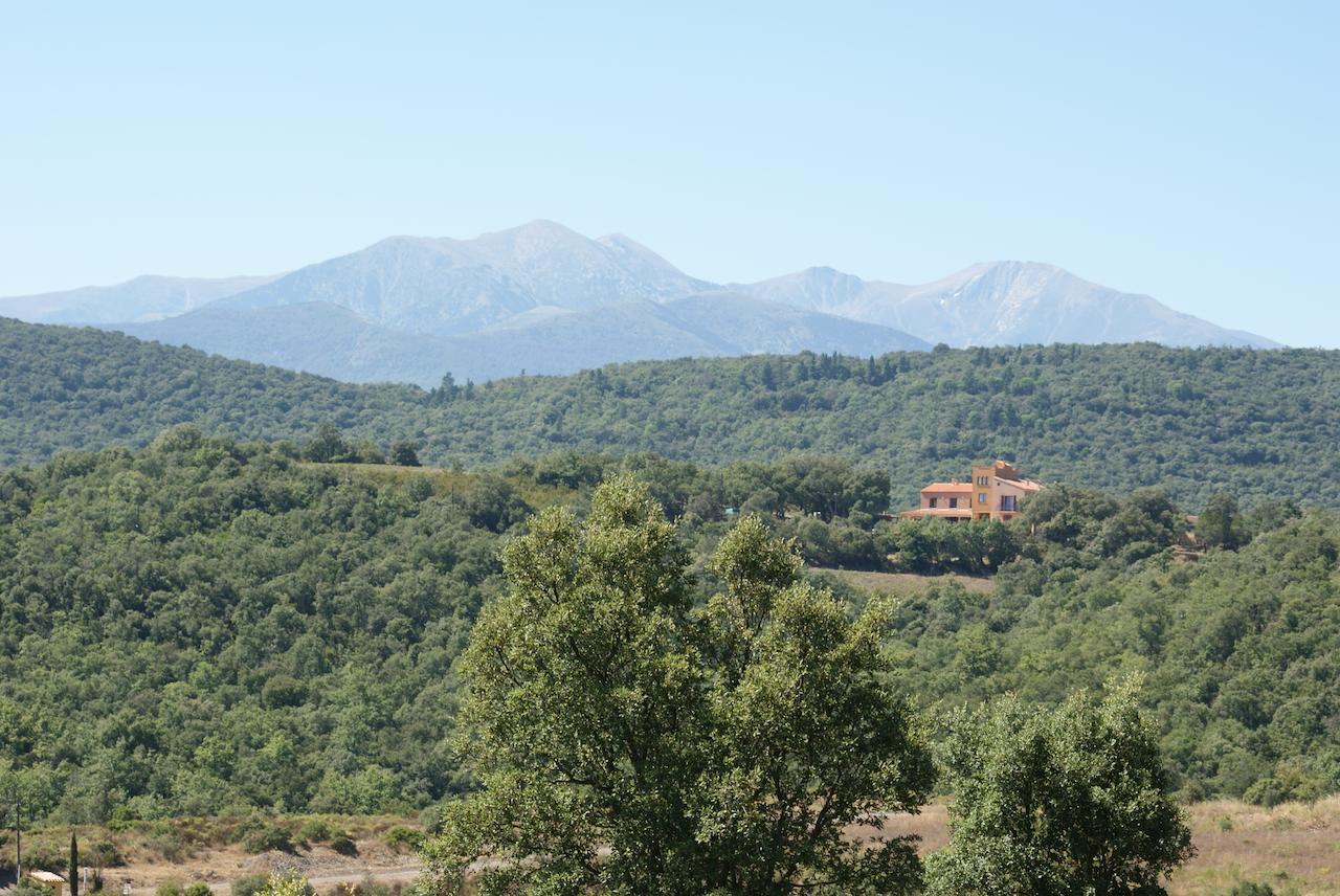 Mas La Marchette Bed & Breakfast Ceret Bagian luar foto