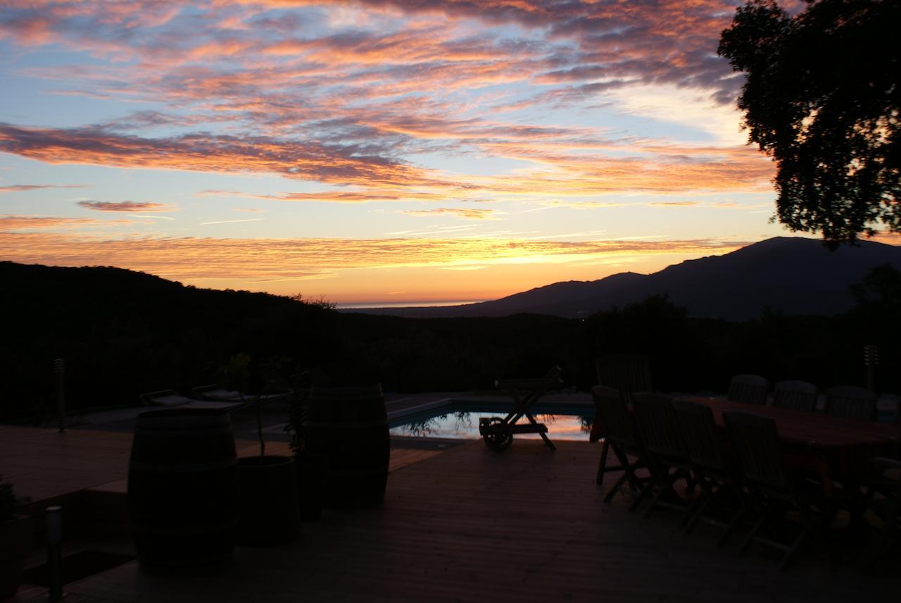 Mas La Marchette Bed & Breakfast Ceret Bagian luar foto
