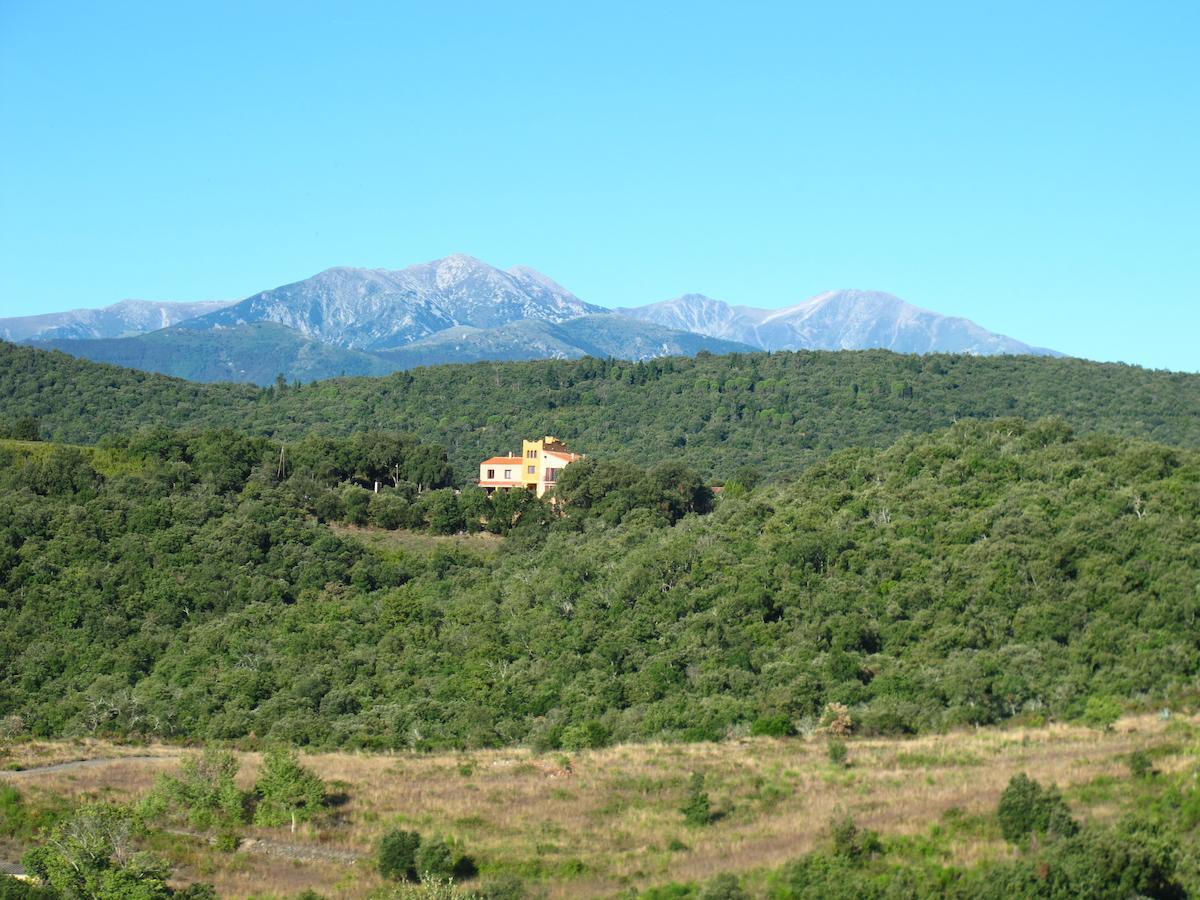 Mas La Marchette Bed & Breakfast Ceret Bagian luar foto